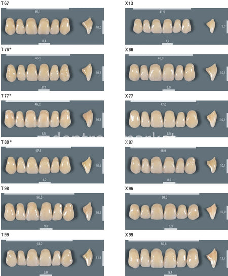 VITA Vitapan Denture Teeth Set 28 — 3D-Master