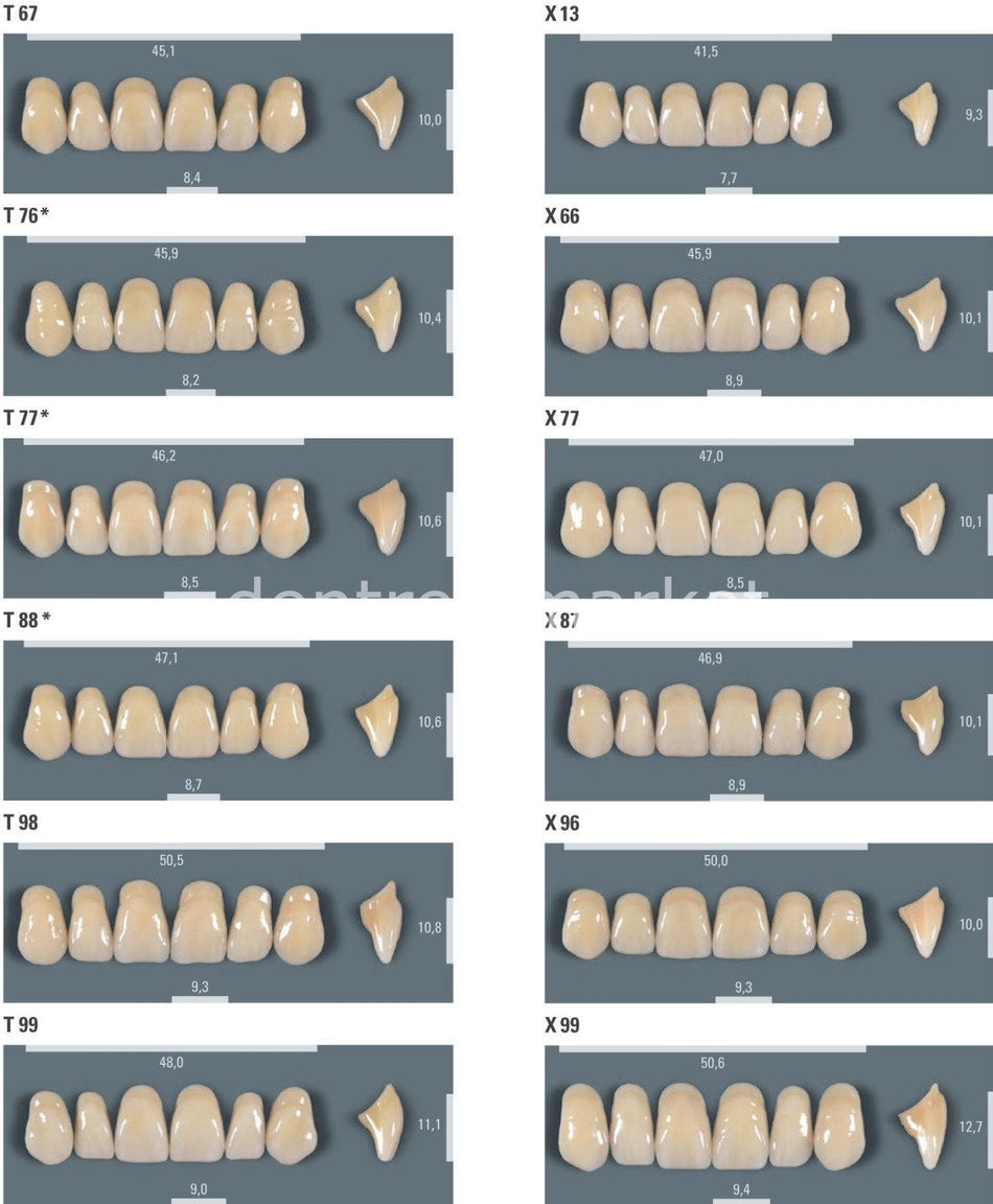 VITA Vitapan Denture Teeth Set 28 — 3D-Master