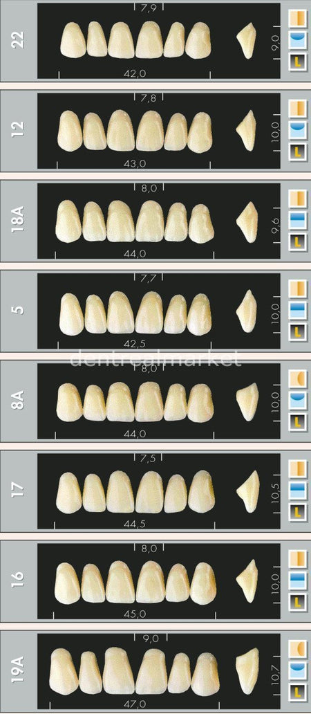 Major Dent New Acrylic Teeth 28-Piece Set