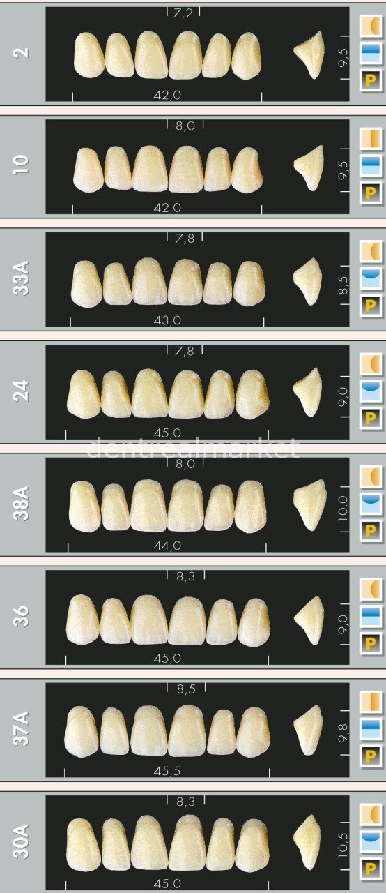 Major Dent New Acrylic Teeth 28-Piece Set