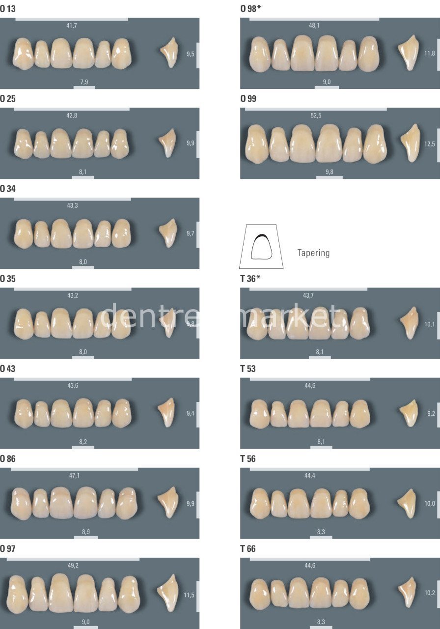 VITA Vitapan Denture Teeth Set 28 — 3D-Master