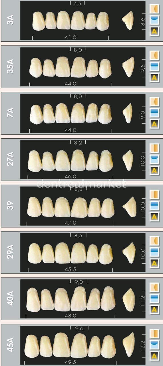 Major Dent New Acrylic Teeth 28-Piece Set