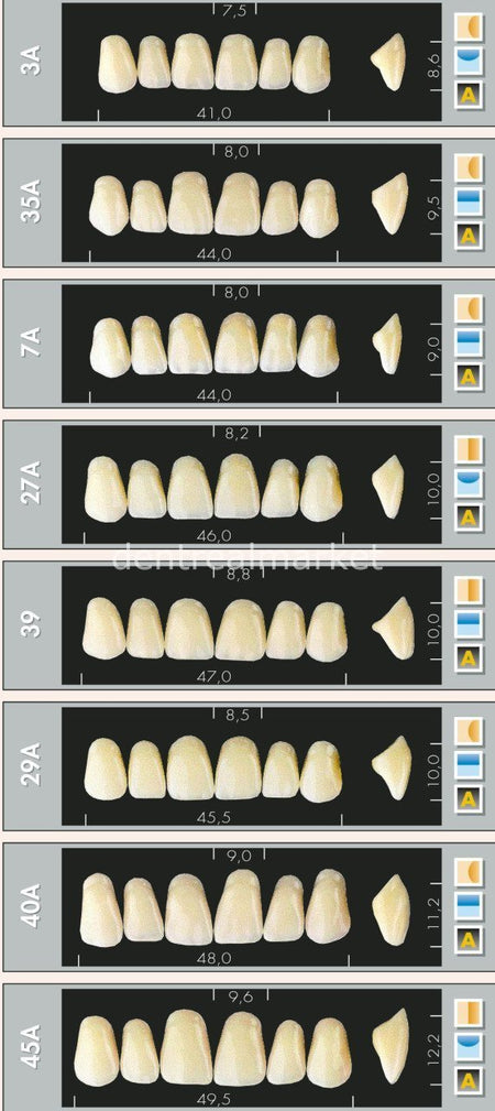 Major Dent New Acrylic Teeth 28-Piece Set