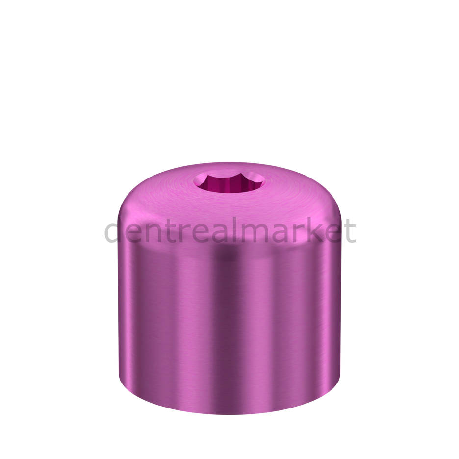 D-TYPE Healing Cap Internal Hex Özel Baglantı Parçası