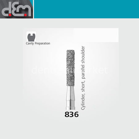 Dx Dentex DX Synthetic Diamond Bur 836 — Cylinder — Pack of 10