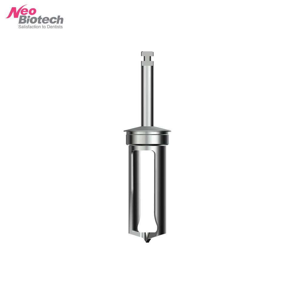 Knochensammler - Knochensammlung Bur