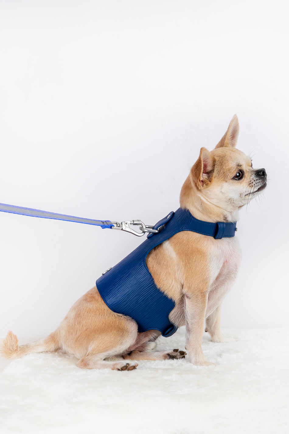 Eyes On You Dog Harness / Animal Harness Collar Vegan Leather Safe