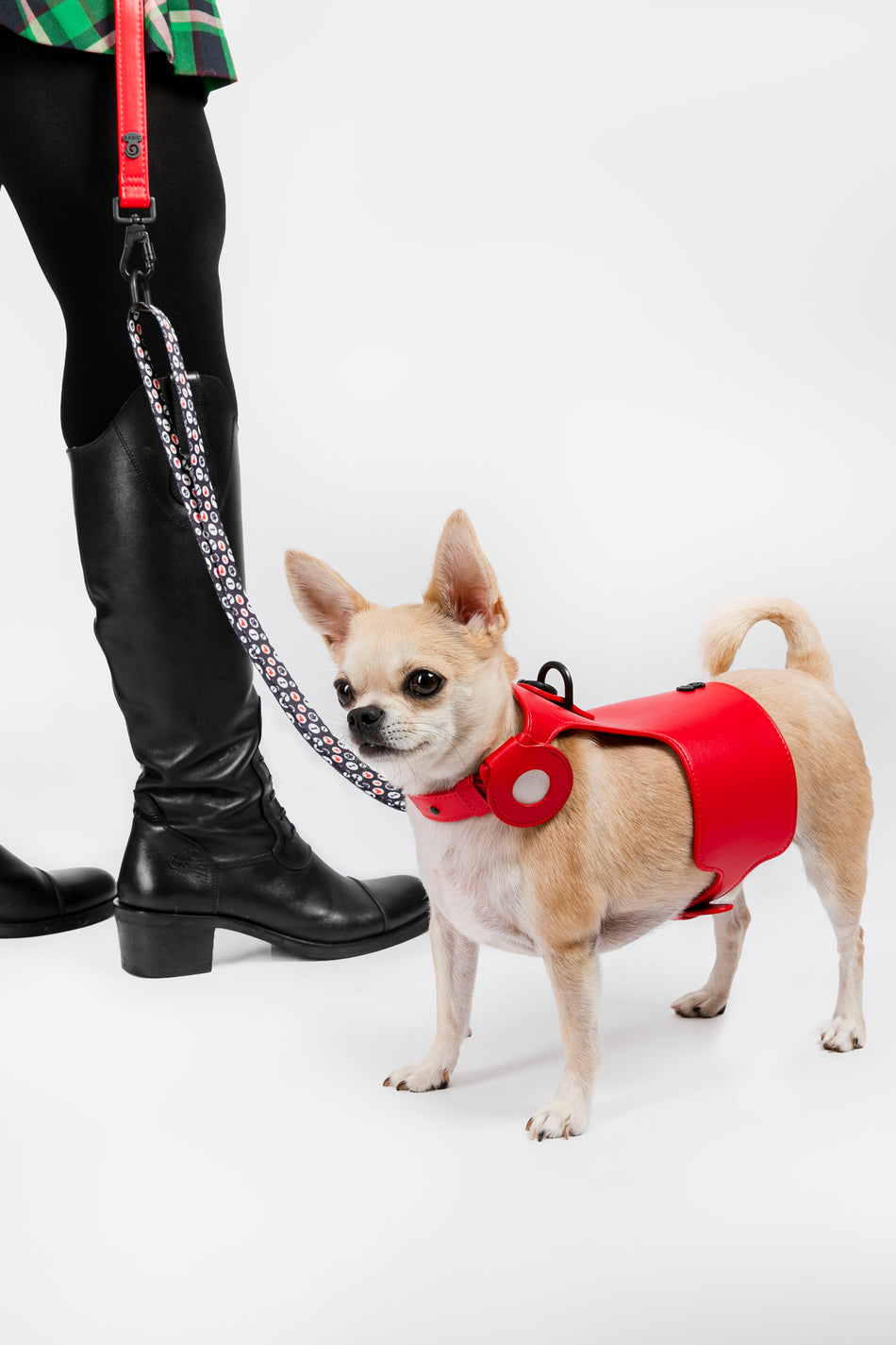 Dog Collar AirTag Holder / Animal AirTag Holder Collar Vegan Leather Safe