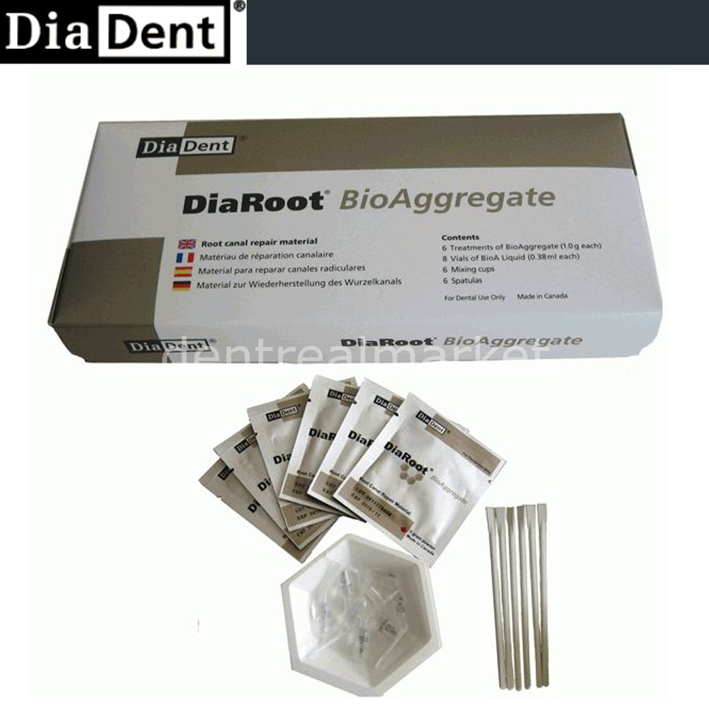 Diadent DiaRoot BioAggregate Intro Kit 6x1 g Permanent Repair Material