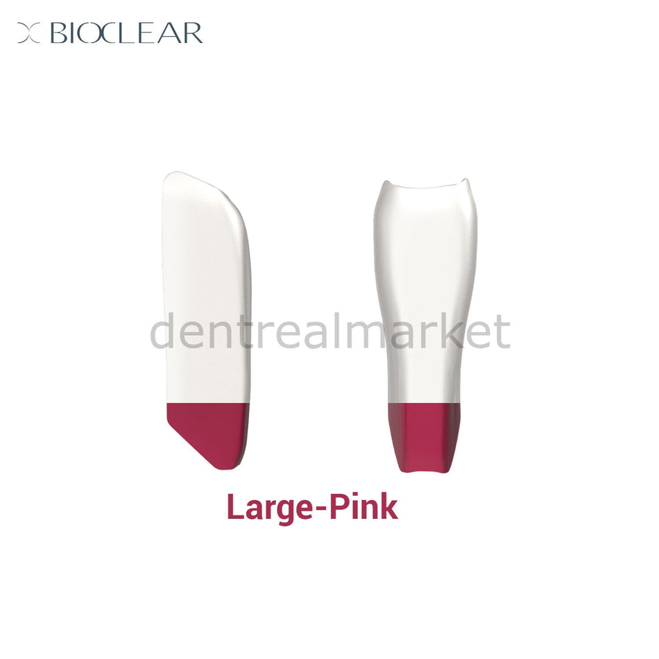 Bioclear Black Triangle Individual Matrix - Large/Pink - Pack of 10
