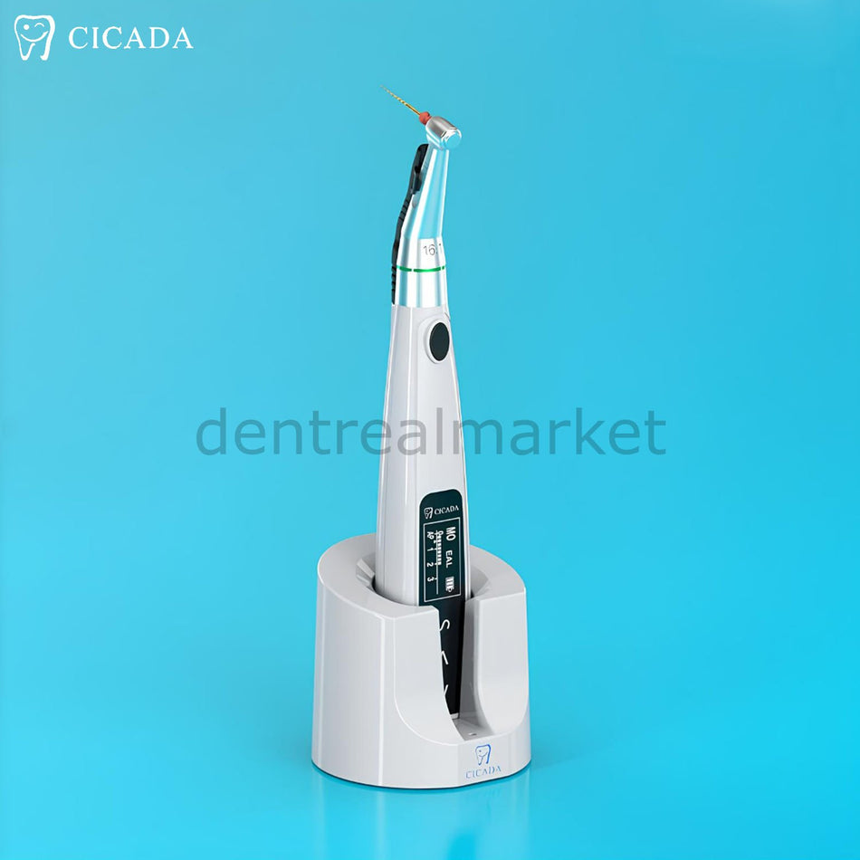 Ciceda T-Fine-II Endomotor with Apex Locator