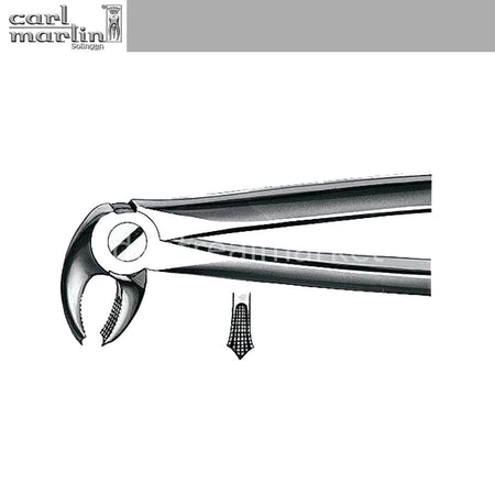 Carl Martin Lower Molar Forceps No. E22