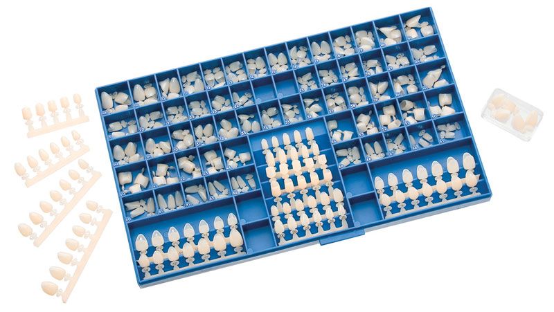 Tdv Dental Temporary Polycarbonate Crowns Pack of 180