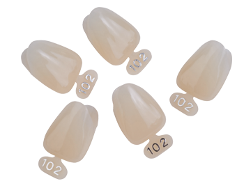 Tdv Dental Temporary Polycarbonate Crowns Pack of 180