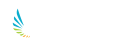 Dentrealstore logo