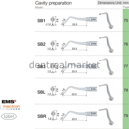 Woodpecker SB1 Cavity Preparation Scaler Tip — EMS, Mectron, Woodpecker, W&H Compatible