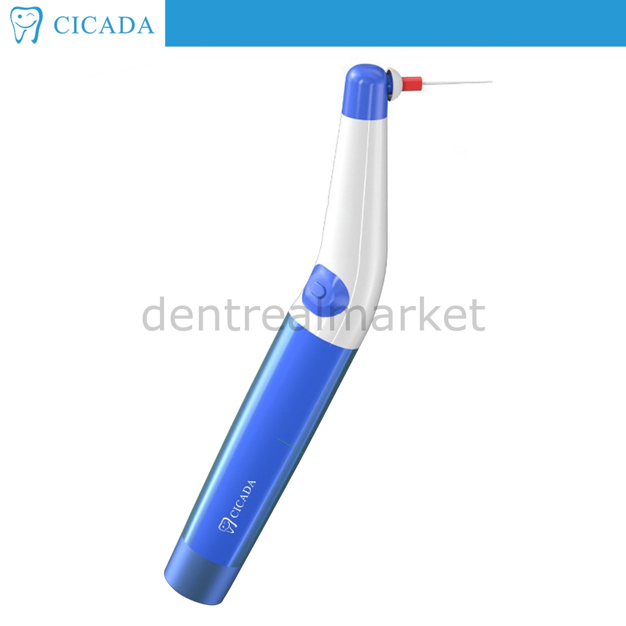 Ciceda Endo Activator