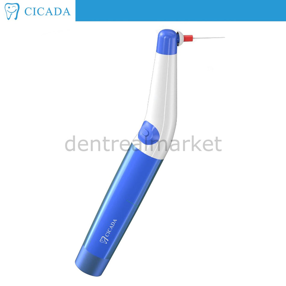 Ciceda Endo Activator