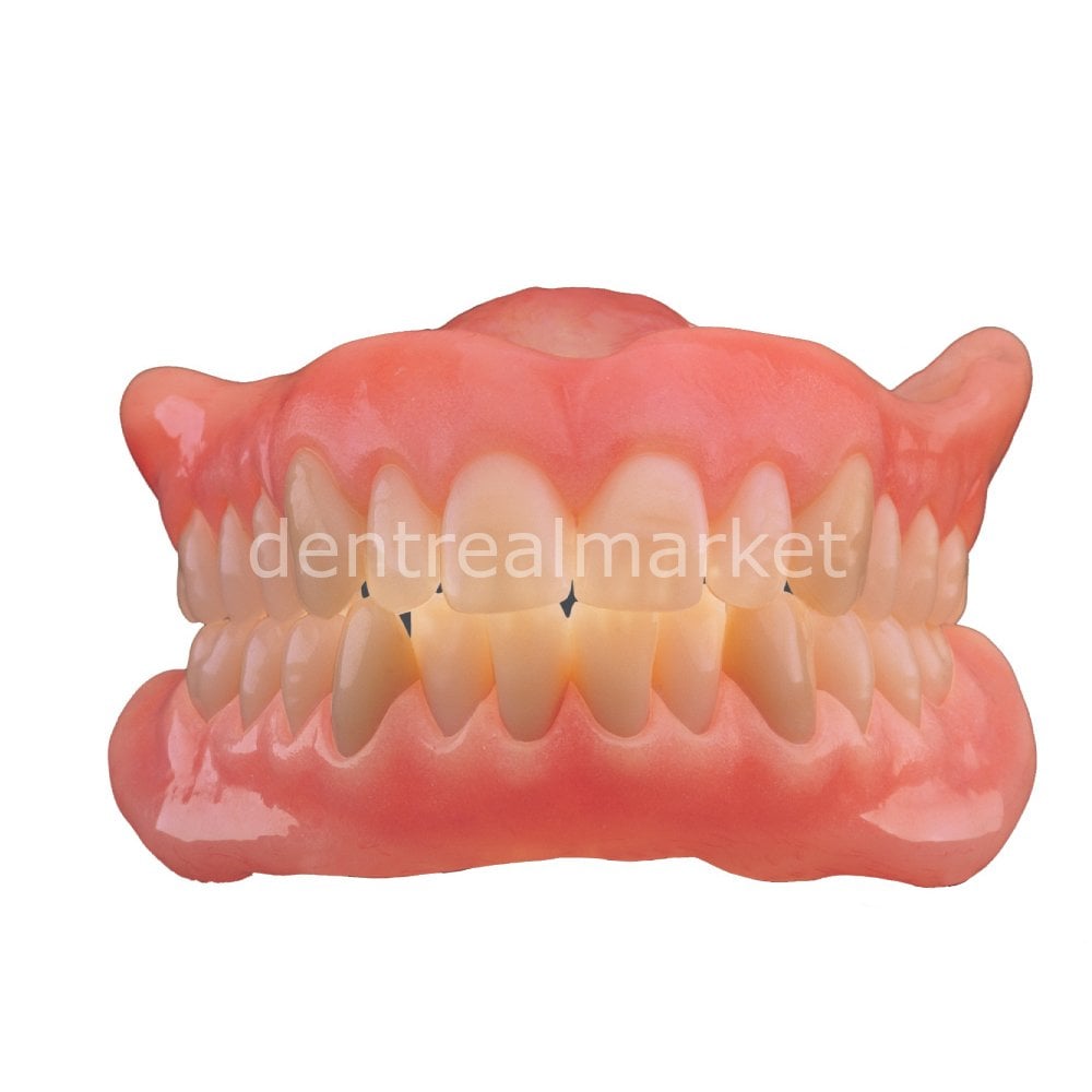 Schottlander Enigmalife+ Nano-Hybrid Composite Denture Teeth — 28-Set