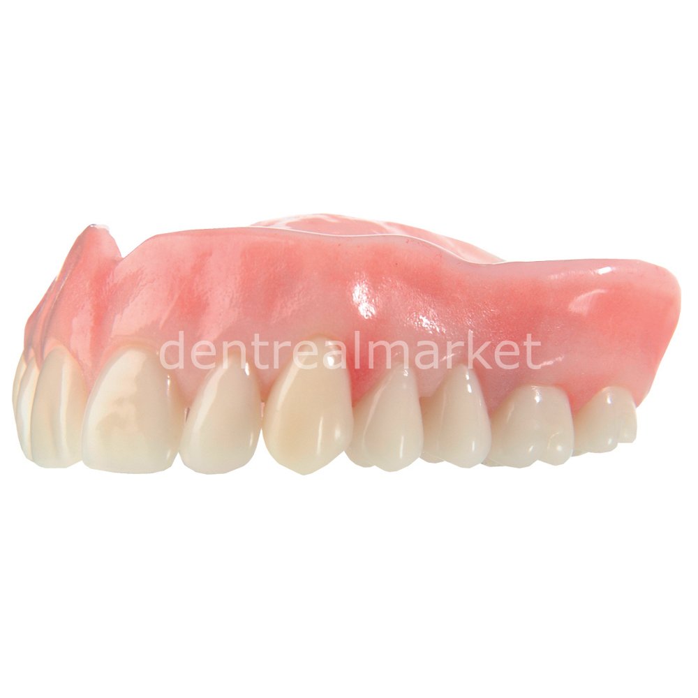 Schottlander Enigmalife+ Nano Hybrid Composite Upper Anterior Teeth Set of 6