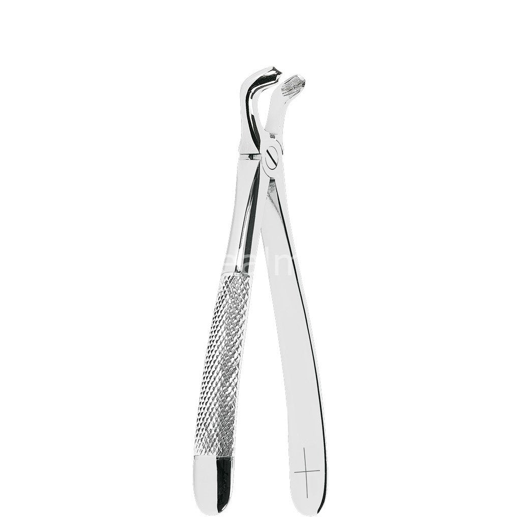 Braun Aesculap Anatomica Adult Extraction Forceps No. 79