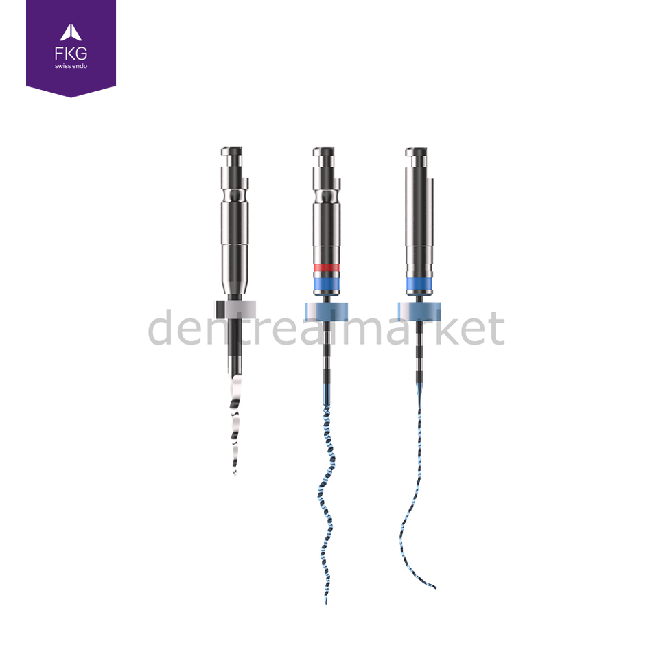 FKG Swiss Endo XP-endo Retreatment Sequence File