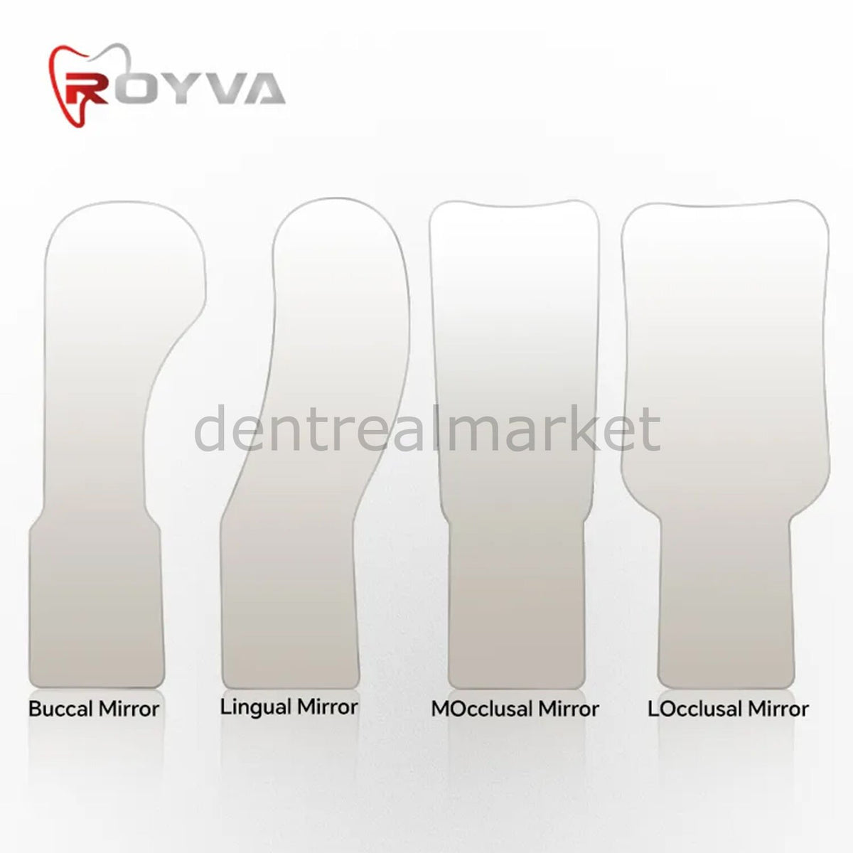 Royva Fan-Handle Photography Mirror Set
