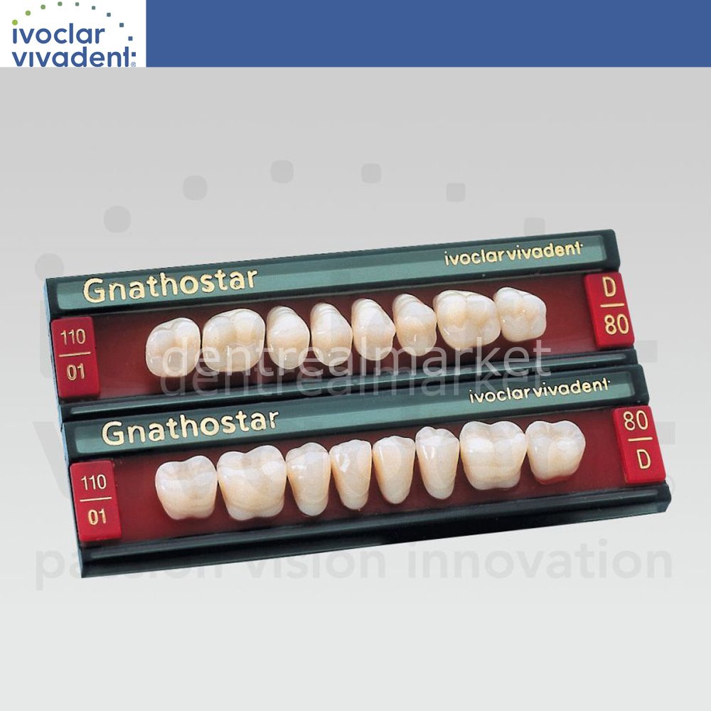 Ivoclar Vivadent Gnathostar Posterior Teeth — Set of 8