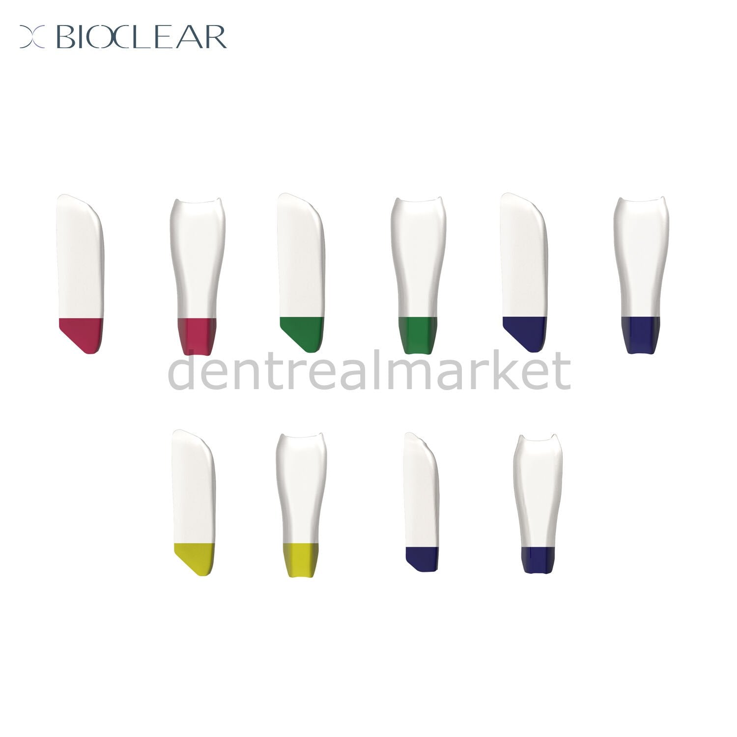 Bioclear Intro Black Triangle (BT) Matrix Set