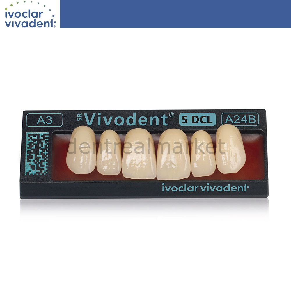 Ivoclar Vivadent SR Vivodent S DCL Upper Anterior Teeth Set of 6