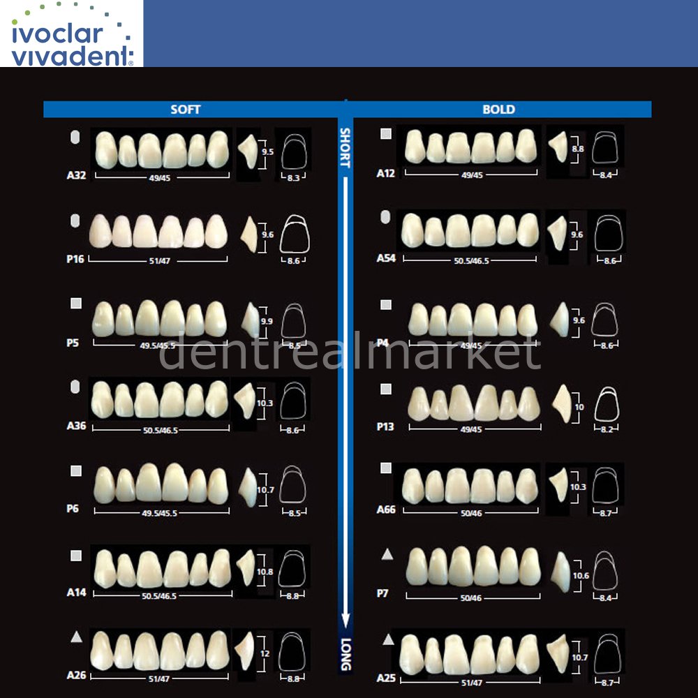 Ivoclar Vivadent SR Vivodent DCL Upper Anterior Teeth — Set of 6