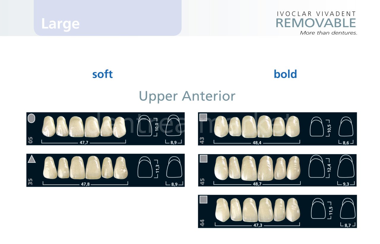 Ivoclar Vivadent Ivostar 3-Layer Acrylic Upper Anterior Teeth Set of 6