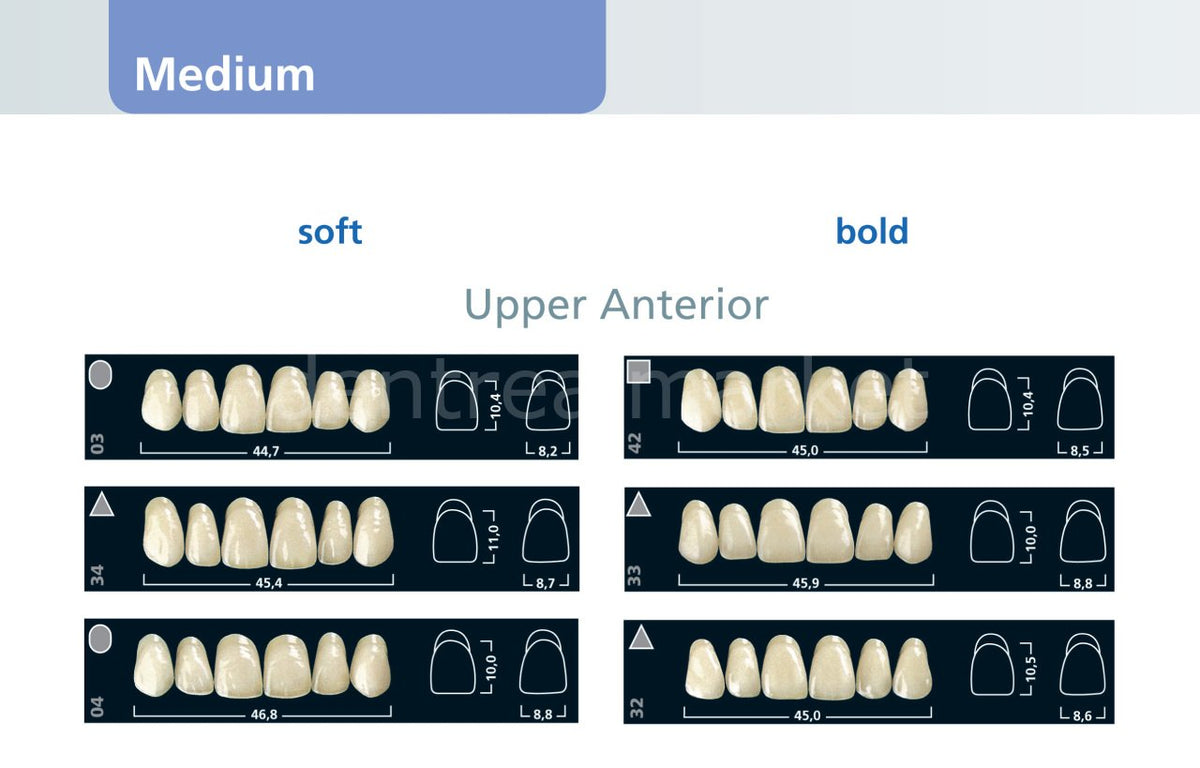 Ivoclar Vivadent Ivostar 3-Layer Acrylic Upper Anterior Teeth Set of 6