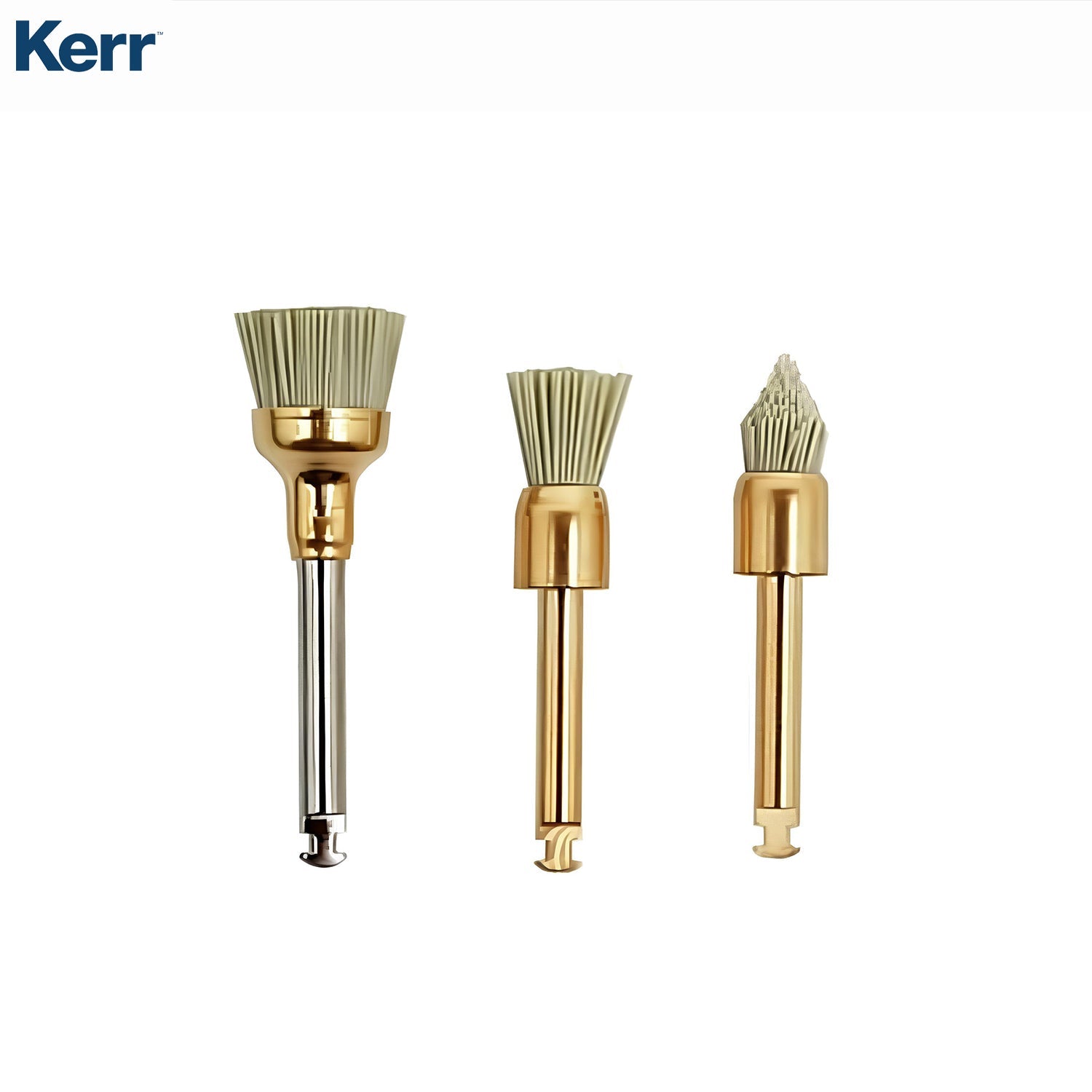 Kerr - Occlubrush Self-Polishing Assortment Brush Kit – DentrealStore