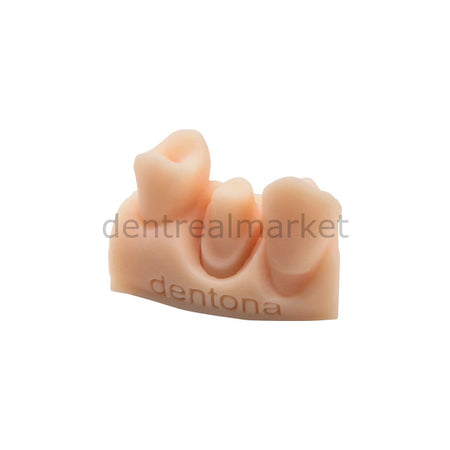 Dentona Optiprint Model — Dental Model 3D Printer Resin — 1000 g