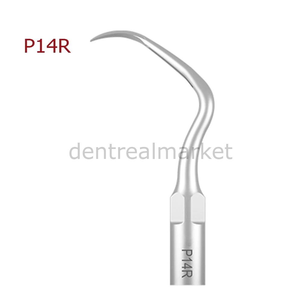 Woodpecker Periodontic Scaler Tip P14R — EMS, Mectron, Woodpecker, W&H Compatible