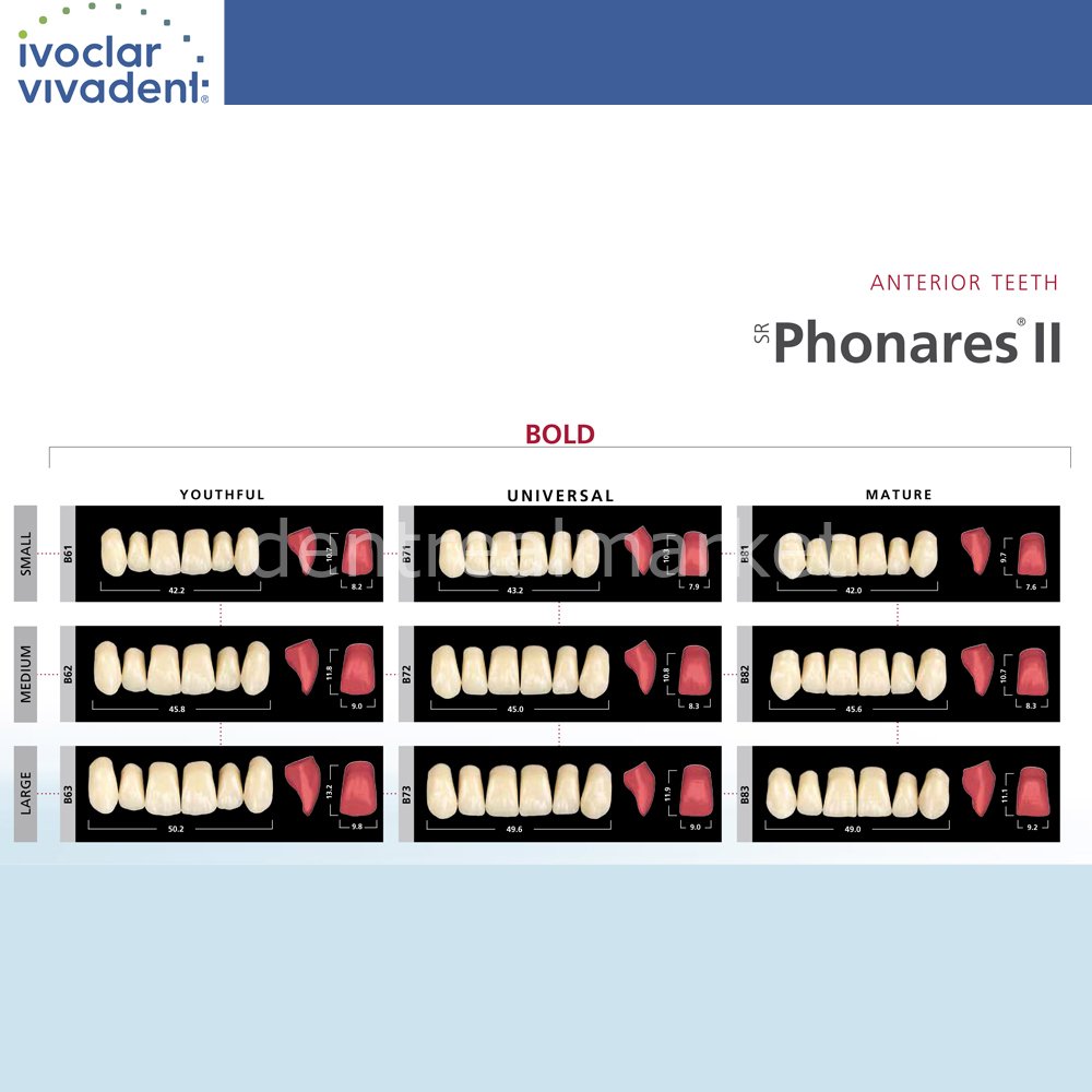 Ivoclar Vivadent SR Phonares II Nano-Hybrid Composite Upper Anterior Teeth 6-Pack