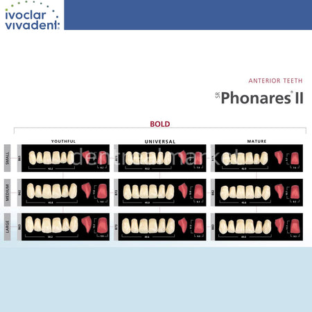 Ivoclar Vivadent SR Phonares II Nano-Hybrid Composite Upper Anterior Teeth 6-Pack