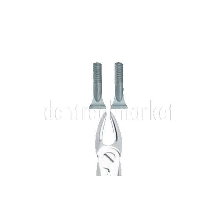 Jensen Forceps Upper Incisor — JDH 702