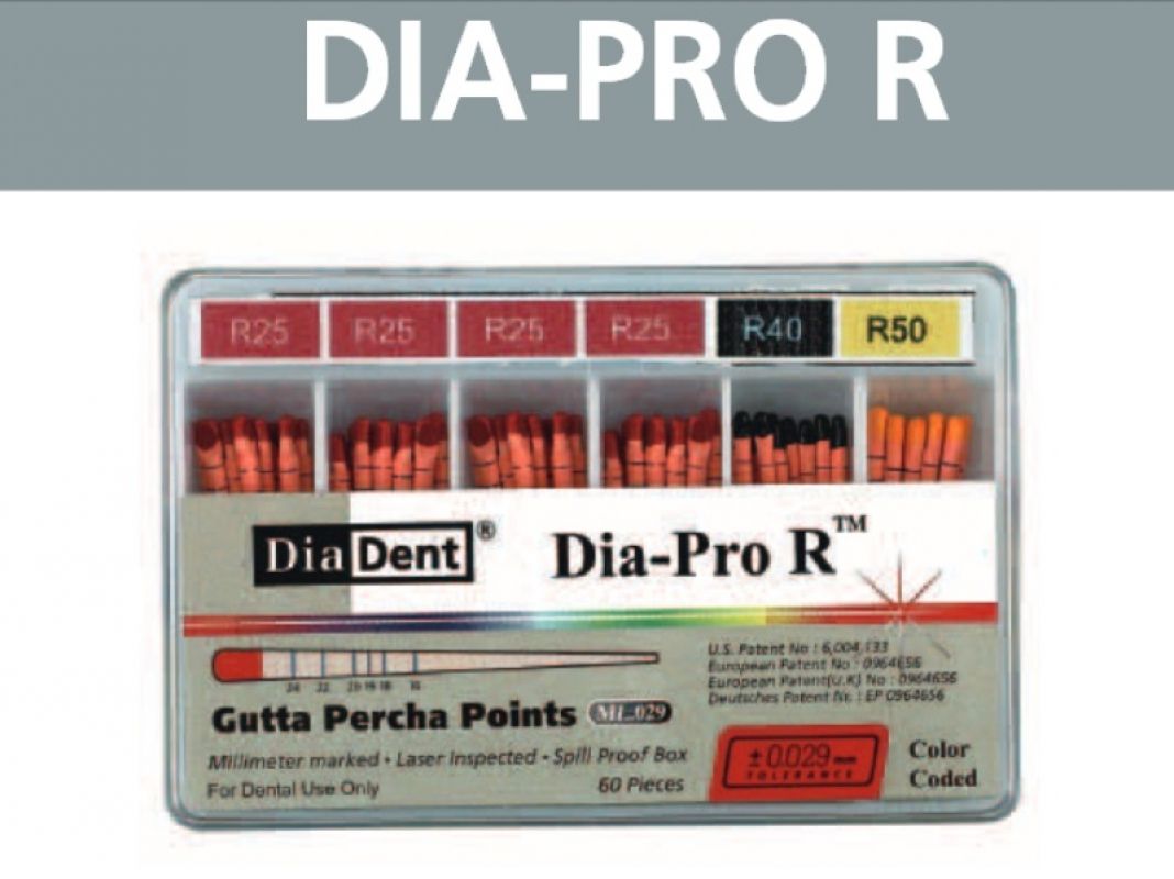 Diadent Dia-Pro R Reciproc Gutta Percha Equivalent
