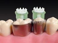 Polydentia Maximat Plus Kit