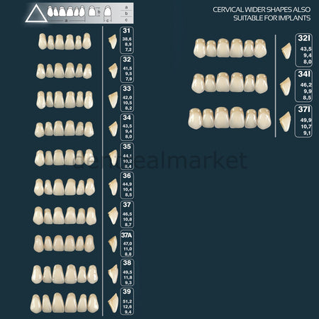 Polident Primodent Acrylic Denture Teeth Set 28 pcs — Triangular Form