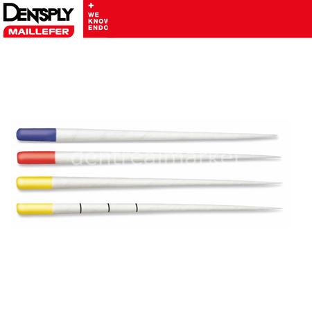 Dentsply Sirona ProTaper Next Paper Points