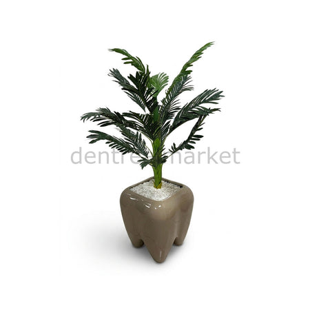 New Dent Tooth-Shaped Planter and Waste Bin