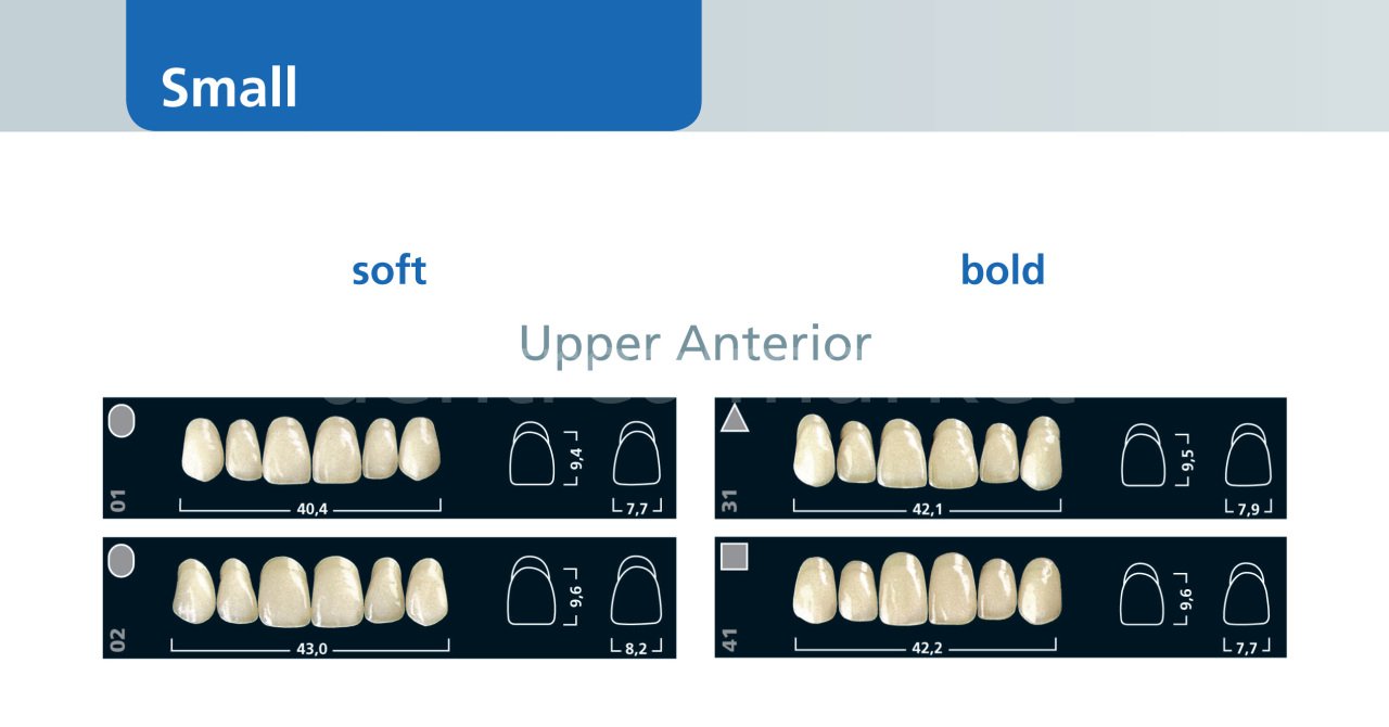 Ivoclar Vivadent Ivostar 3-Layer Acrylic Upper Anterior Teeth Set of 6