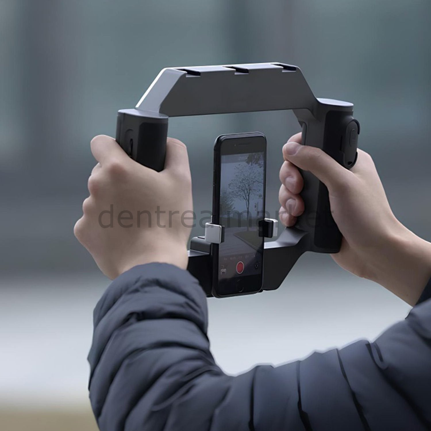Dentreal Ulanzi U-Rig Lighted Mobile Photography Rig