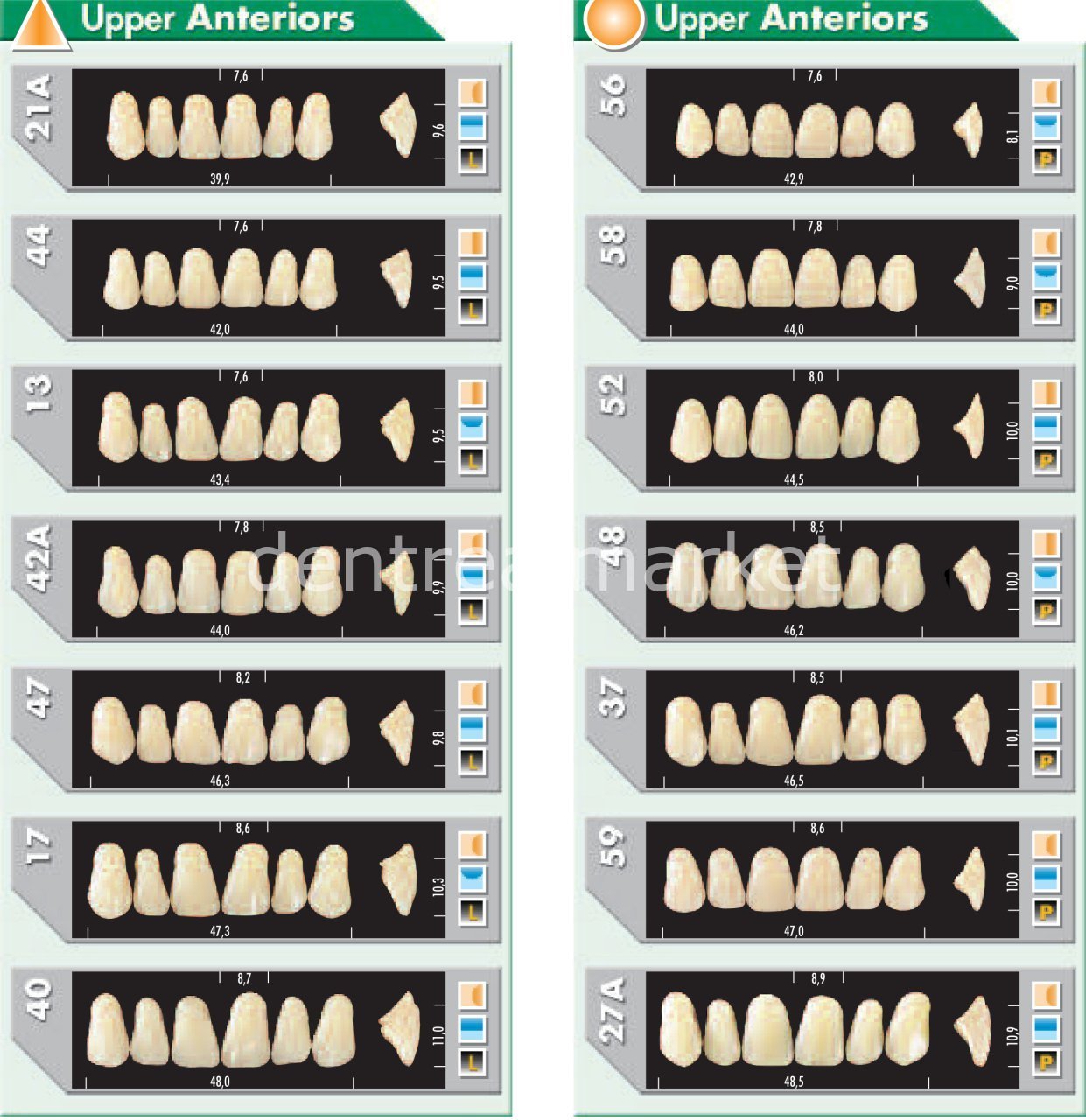 Major Plus Acrylic Teeth Full Set of 28
