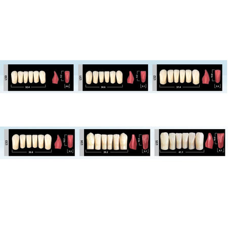 Ivoclar Vivadent SR Phonares II Nano Hybrid Composite Lower Anterior Teeth 6 pcs