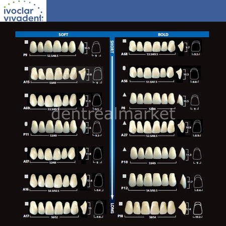 Ivoclar Vivadent SR Vivodent DCL / SR Orthotyp DCL Full Denture Teeth Set of 28
