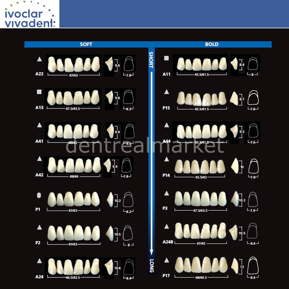 Ivoclar Vivadent SR Vivodent DCL / SR Orthotyp DCL Full Denture Teeth Set of 28